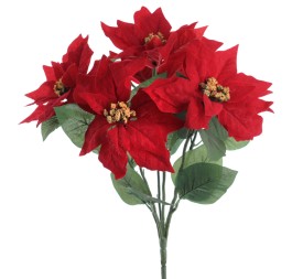 RAMO POINSETTIA X 6 (ZND923-08)