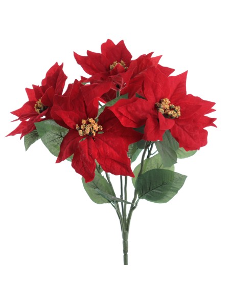 RAMO POINSETTIA X 6 (ZND923-08)