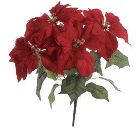 RAMO POINSETTIA X 5 (ZND924-08)