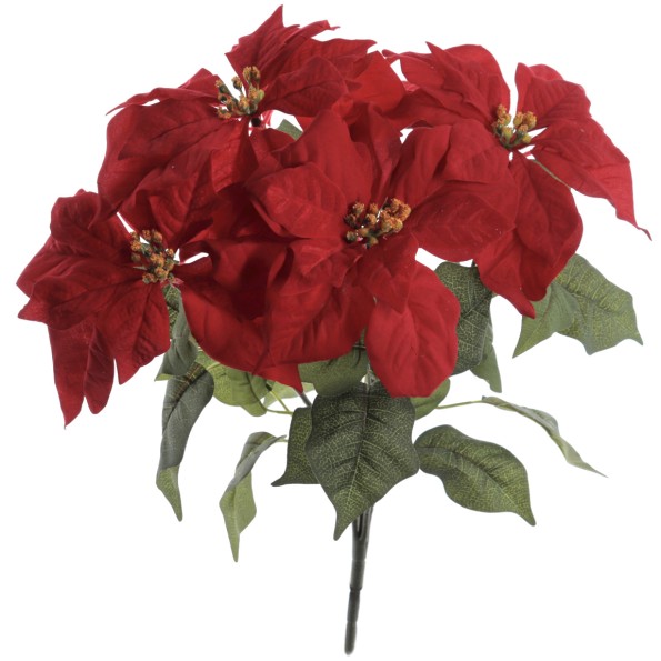 RAMO POINSETTIA X 5 (ZND924-08)