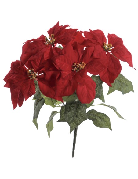 RAMO POINSETTIA X 5 (ZND924-08)