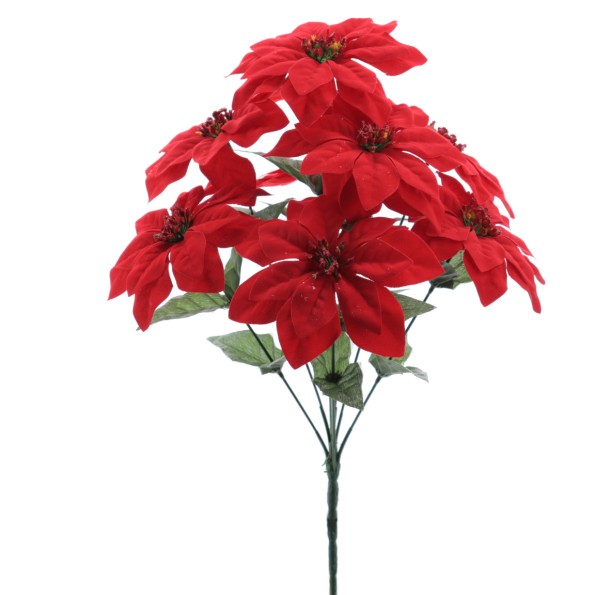 RAMO POINSETTIA (ZND930-08)