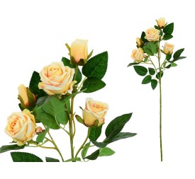 VARA ROSAS X 5 -66CM (TE)