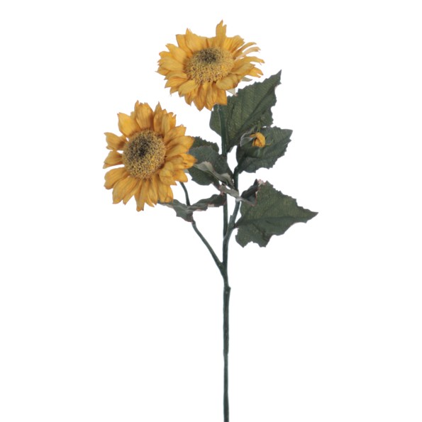 GIRASOL X 3 MONET (1211-02)