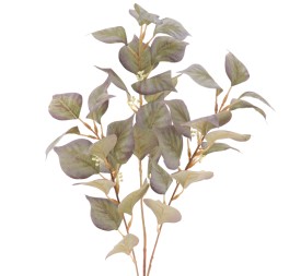 EUCALYPTUS (2078-69)
