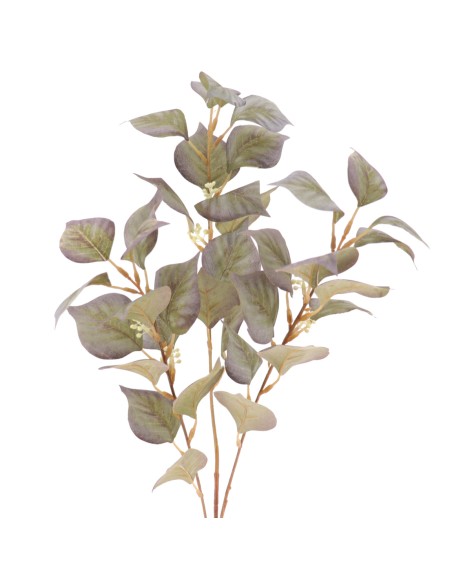 EUCALYPTUS (2078-69)