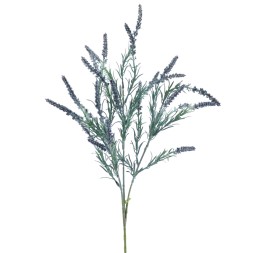 LAVANDA (2542-20)