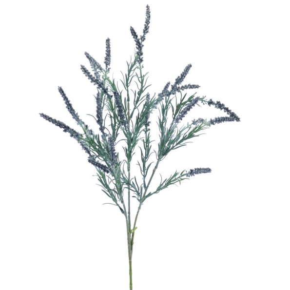 LAVANDA (2542-20)