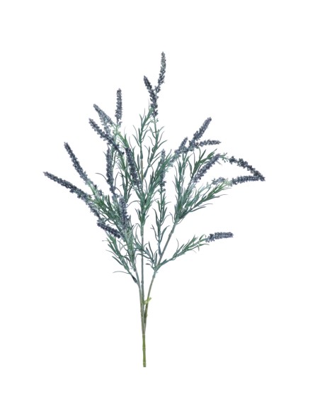LAVANDA (2542-20)