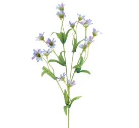 MARGARITA MINI (2671-10)