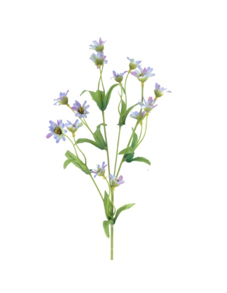 MARGARITA MINI (2671-10)