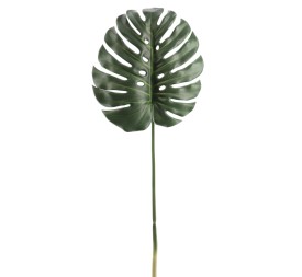 MONSTERA (2718-09)