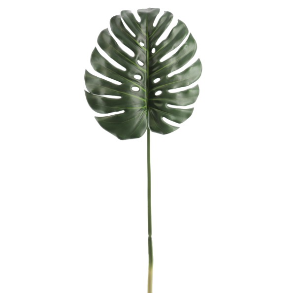 MONSTERA (2718-09)