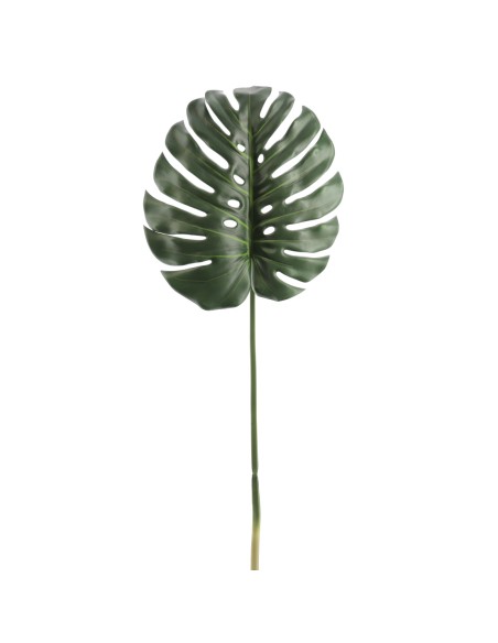 MONSTERA (2718-09)