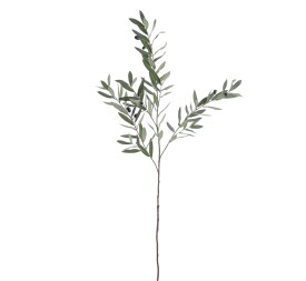 OLIVO X 3, 138 CM. (2721-09)