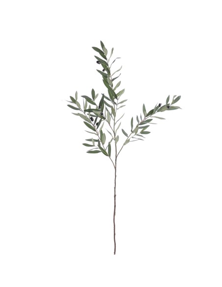 OLIVO X 3, 138 CM. (2721-09)