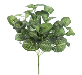 MATA SINGONIUM X 7 (3344-09)