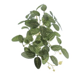 COLGANTE FITTONIA (4108-09)