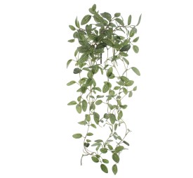 COLGANTE FITTONIA MINI (4134-09)