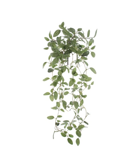 COLGANTE FITTONIA MINI (4134-09)