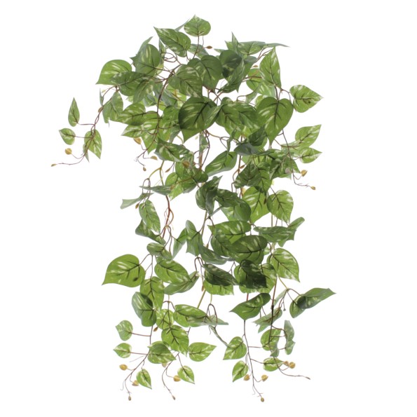 COLGANTE POTHOS (4139-09)