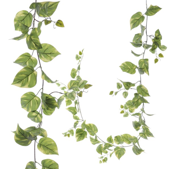 GUIRNALDA POTHOS 1,80 MT (4194-09)