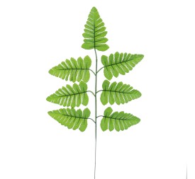 HOJA HELECHO (T.N.) 44 CMS (4250-09)