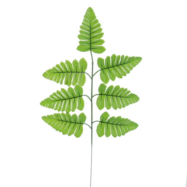 HOJA HELECHO (T.N.) 44 CMS (4250-09)