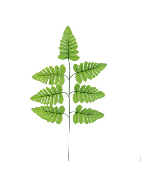 HOJA HELECHO (T.N.) 44 CMS (4250-09)
