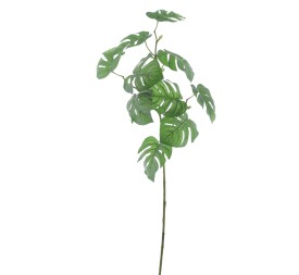MONSTERA (4720-09)