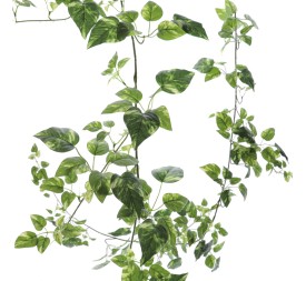 GUIRNALDA POTHOS 1,80 MT (4901-09)