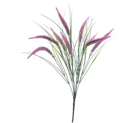 RAMO SETARIA (5396-07)