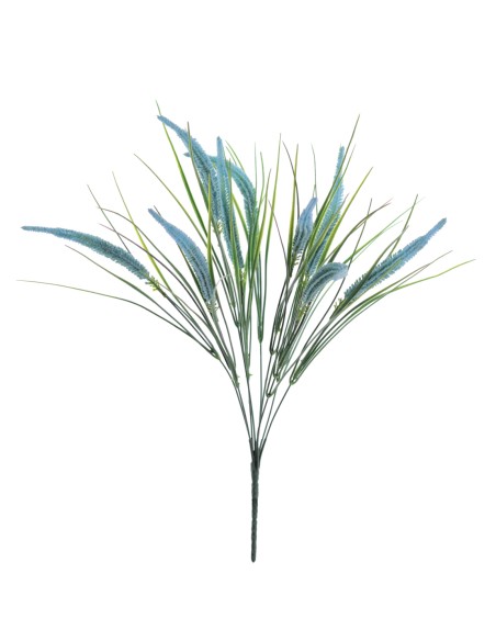 RAMO SETARIA (5396-10)