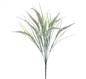 RAMO SETARIA (5396-11)