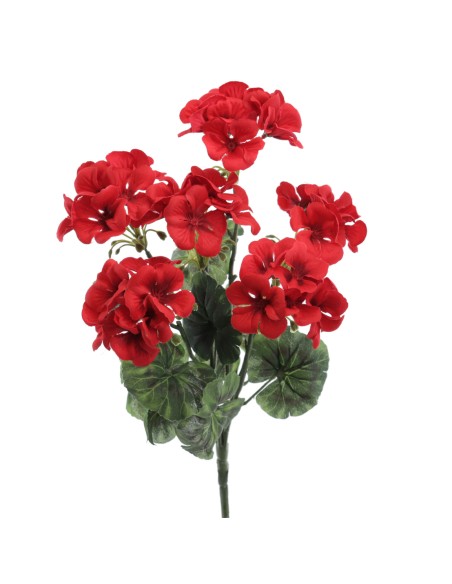 RAMO GERANEO (5399-08)