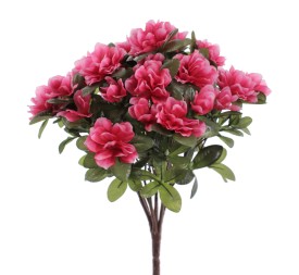 MATA AZALEAS (6432-07)