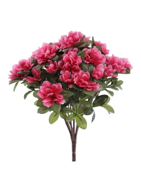 MATA AZALEAS (6432-07)