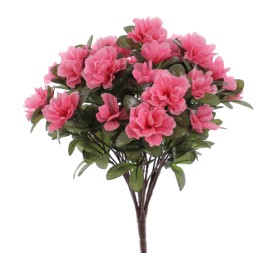MATA AZALEAS (6432-12)