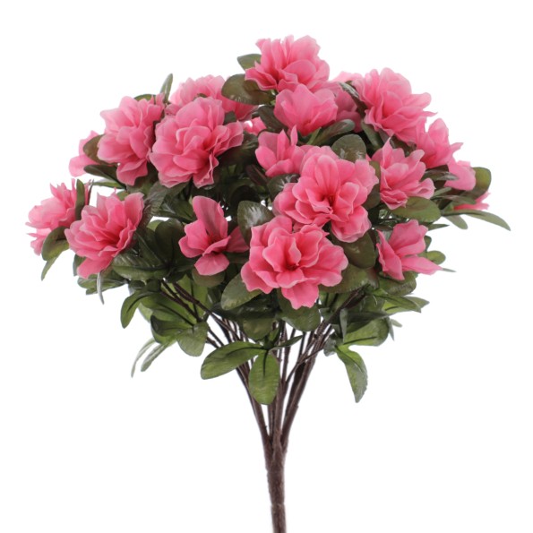 MATA AZALEAS (6432-12)