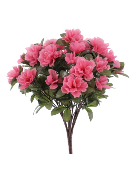 MATA AZALEAS (6432-12)