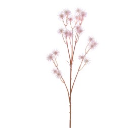 TALICTRO (6890-12)