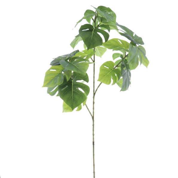 MONSTERA 90 CMS (7137-09)