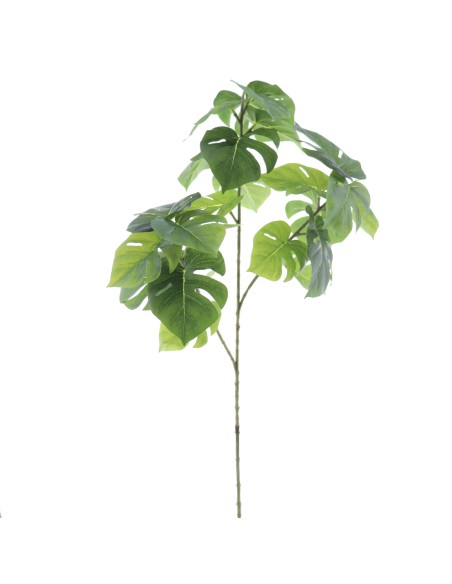 MONSTERA 90 CMS (7137-09)