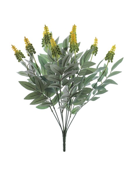 RAMO DRIMIOPSIS (7427-02)