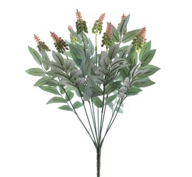 RAMO DRIMIOPSIS (7427-12)