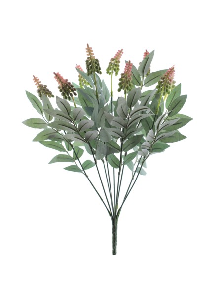 RAMO DRIMIOPSIS (7427-12)