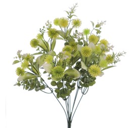 RAMO ECHINOPS (8206-02)