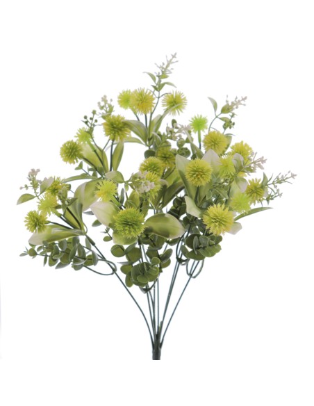 RAMO ECHINOPS (8206-02)