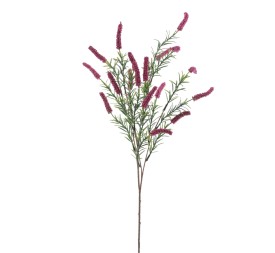 CETARIA (9311-07)