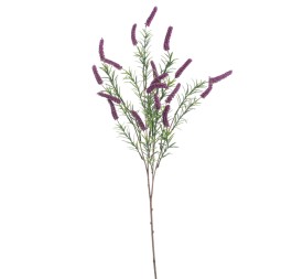 CETARIA (9311-16)